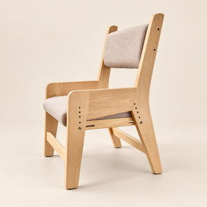 Silla Delta Evolutiva