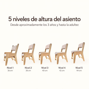 Silla Delta Evolutiva