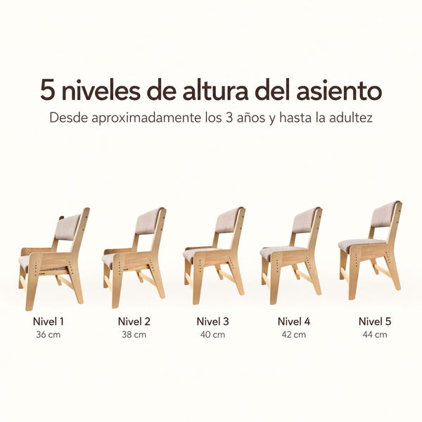 Silla Delta Evolutiva